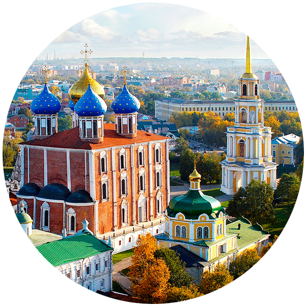 Купить вечную розу в Рязани